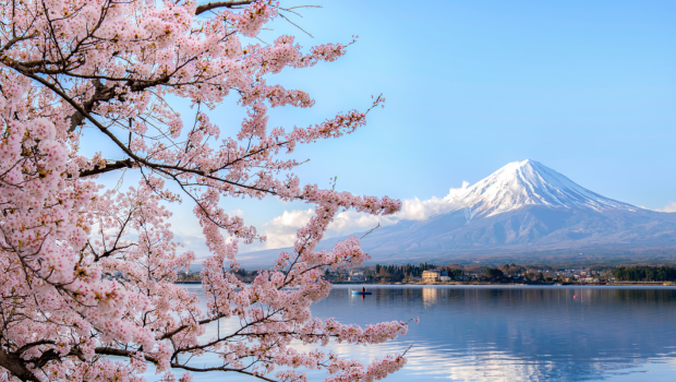 Mount Fuji with cherry blossoms reflecting on a calm lake in Japan