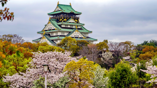 Osaka Castle surrounded by blooming cherry blossoms in spring