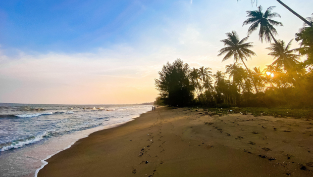 calm waves, footprints, palm trees glowing in the evening light