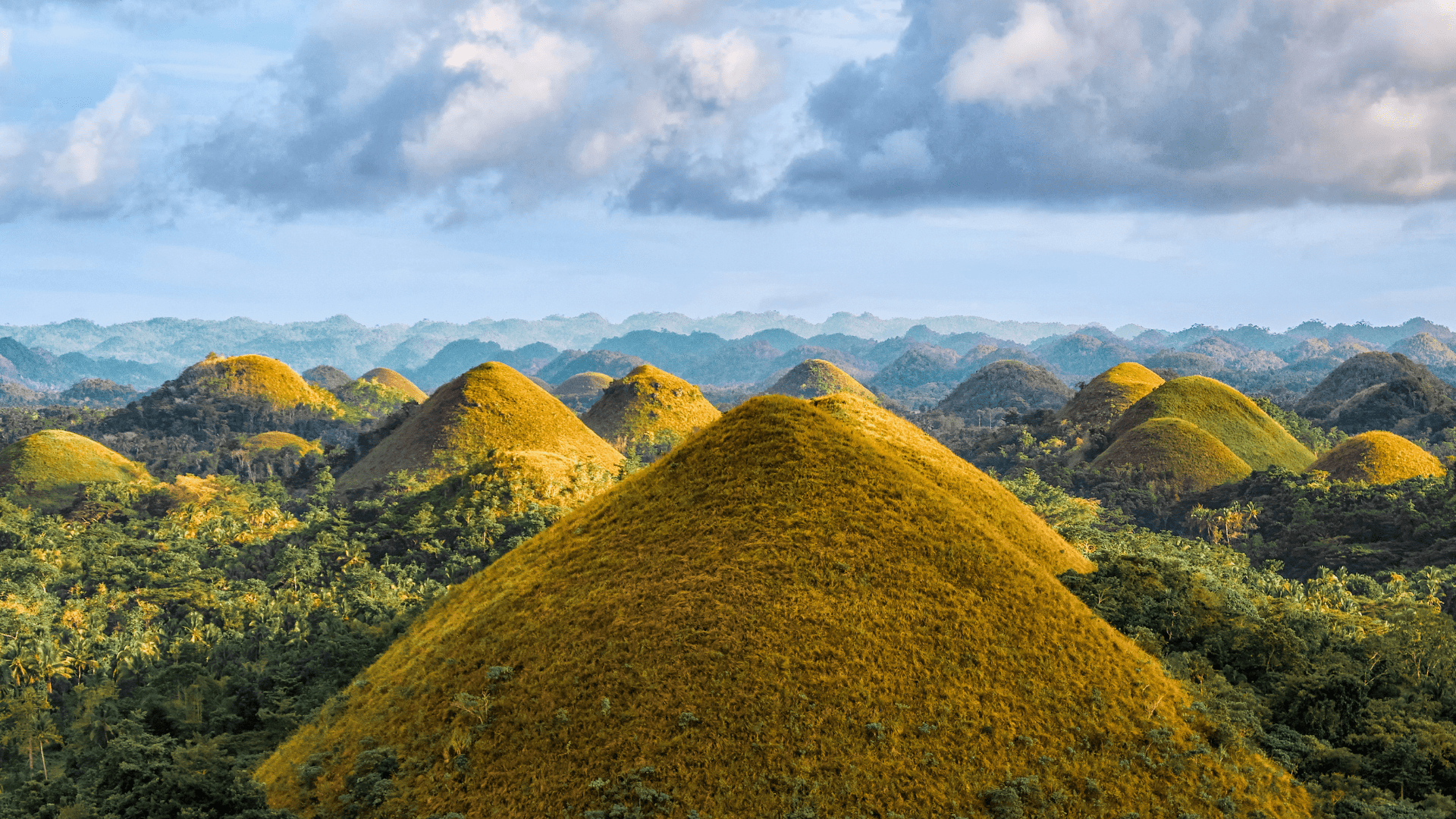 Over 1,200 near-perfect cone-shaped hills. They turn brown in the dry season, which is why they’re called “chocolate.” Still a geological mystery