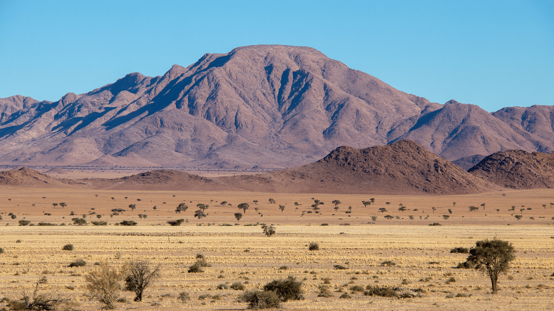 Desert and mountain landscape in Namibia under a clear sky.