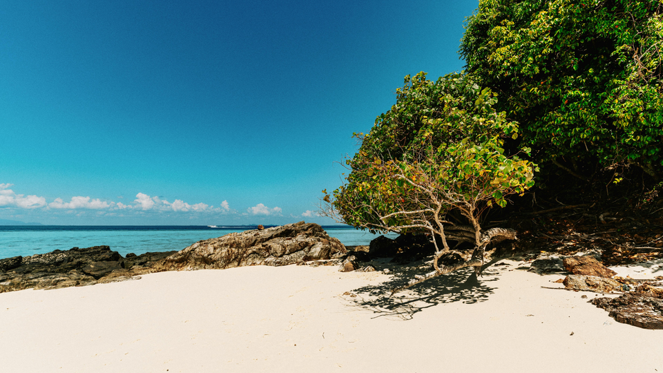 A quiet white-sand beach with clear turquoise water, rocky outcrops, and a leaning tree casting shadows under a deep blue sky.