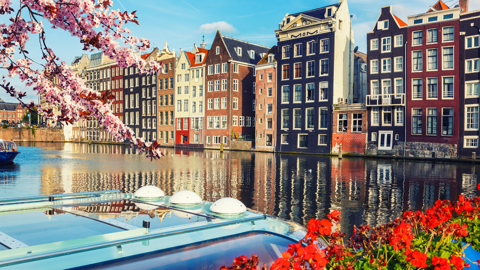 Colorful canal houses reflected on the water in Amsterdam, with pink cherry blossoms and flowers in the foreground on a sunny spring day.